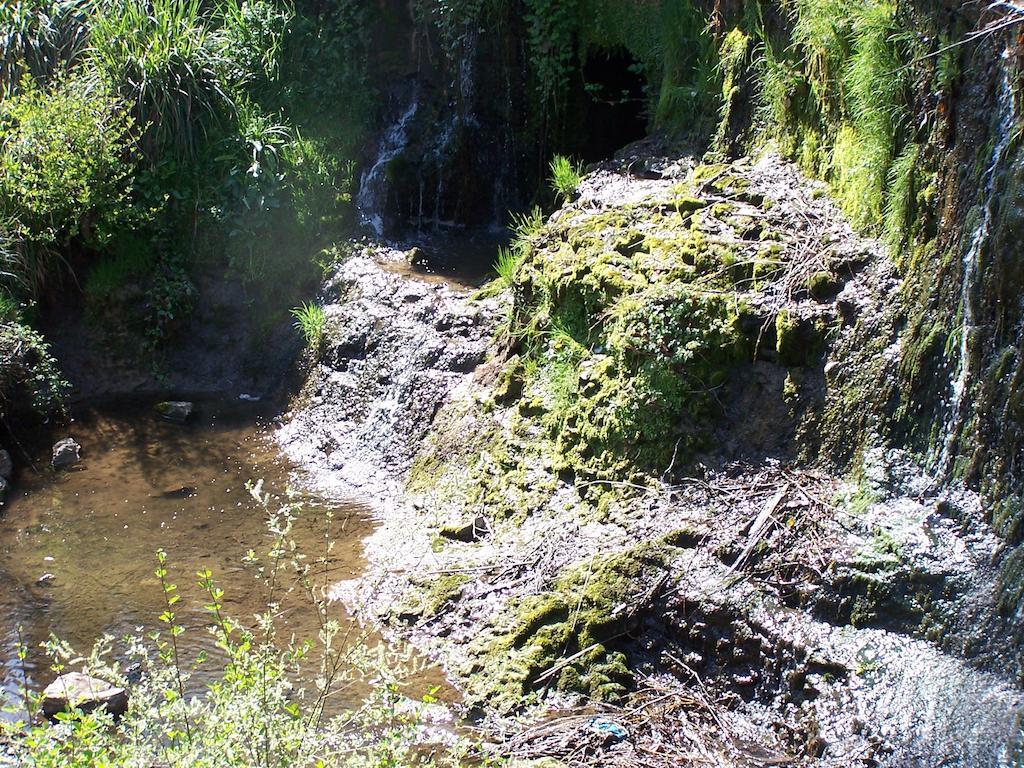 Hostellerie Restaurant Les Gorges De L'Aveyron Bruniquel Kültér fotó
